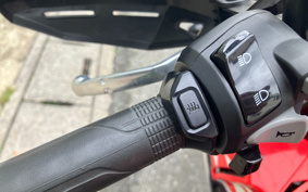 HONDA CRF250 RALLY ABS MD44