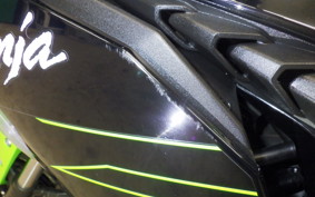 KAWASAKI ZX-4RR 2023 ZX400P