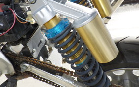 OTHER +UNREGISTERED MODEL by BDS125