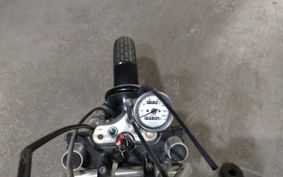 SUZUKI GLASS TRACKER BIG BOY NJ47A