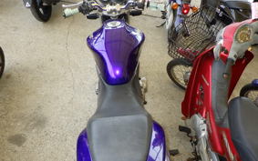 HONDA HORNET 250 MC31