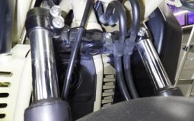 HONDA PS250 MF09