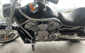 HARLEY VRSCAW 2008 HKH
