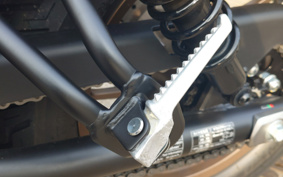 HONDA REBEL 250 S-ED E-CLUTCH MC49
