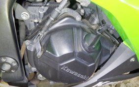 KAWASAKI NINJA 250 2008 EX250L