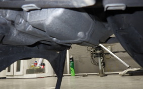 HONDA LEAD 110 2026 JF19