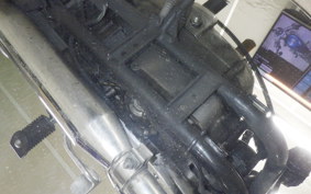 OTHER +HD. XLH883 2019