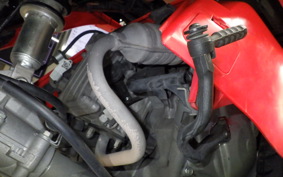 HONDA GYRO CANOPY 2021 TA03