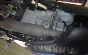 YAMAHA YZF-R15 2022