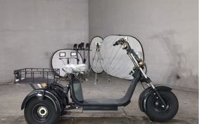 OTHER  BLAZE EV TRIKE  ..