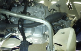 HONDA C50 SUPER CUB 2024 AA09