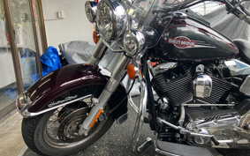 HARLEY FLSTC 2005 BJY