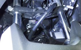 YAMAHA X-MAX 250 SG70J