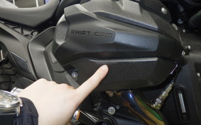 BMW R1300GS 2024
