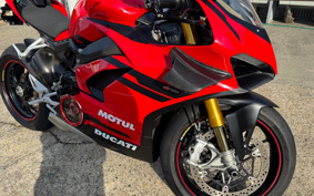 DUCATI PANIGA-REV4S 2018 DA00J