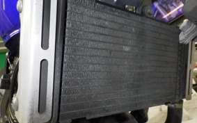 HONDA HORNET 250 2022 MC31