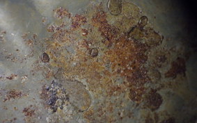 YAMAHA XJ750 E 1983 29R