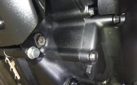 TRIUMPH SPEED 400 2024