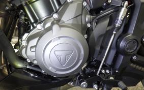 TRIUMPH TRIDENT 800 2026