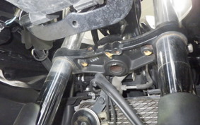 SUZUKI GSX250RA 2015