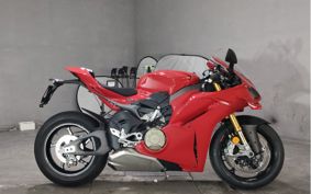 DUCATI PANIGA-REV4S 2025 5D00AA