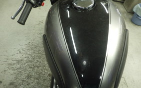 KAWASAKI W800 CAFE 2021 EJ800B