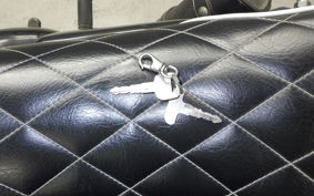 KAWASAKI 250TR BJ250F