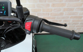 HUSQVARNA SVARTPILEN4 2024