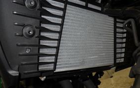 YAMAHA MT-25 A 2006 RG43J