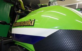 KAWASAKI ZRX1200 D 2017 ZRT20D