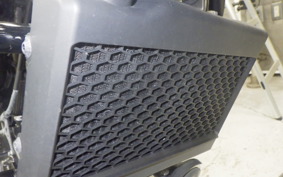 HONDA REBEL 250 A 2024 MC49