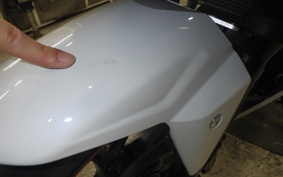 SUZUKI GSX250 R 2019
