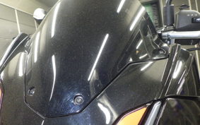 APRILIA TUONO V4 1100 2024