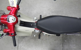 HONDA C110 SUPER CUB 2021