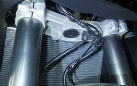 KAWASAKI NINJA 1000SX 2023