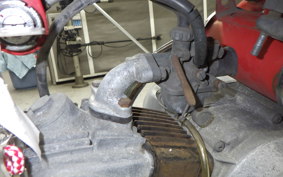 HONDA MONKEY 2024 Z50M