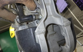 SUZUKI RM-Z250 2025