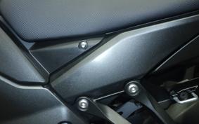 KAWASAKI NINJA 1000SX 2024 ZXT02K