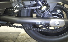 HONDA REBEL 1100 DCT 2024 SC83