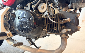 HONDA GROM JC61