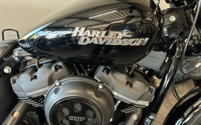HARLEY FXBB 2020 YJJ