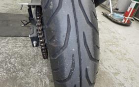 KAWASAKI NINJA 250 EX250L