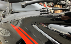 SUZUKI GSX-1300R HAYABUSA 2019 GX72B
