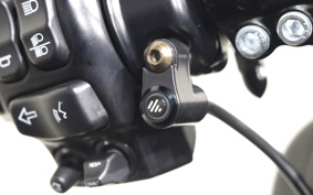 HARLEY FLHXS 2018 KRP