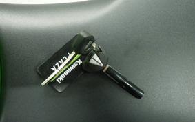 KAWASAKI ZX-4RR 2025 ZX400P