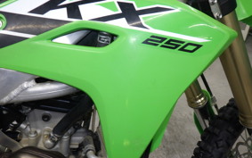 KAWASAKI KX250 2023 KX252E