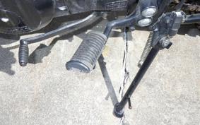 OTHER +ﾏｯﾄﾓｰﾀｰｻｲｸﾙ250