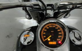 HARLEY FLSTC 1580 2006 BW5