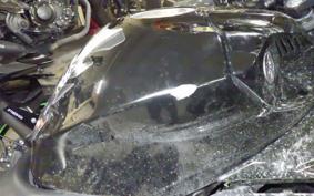 YAMAHA YZF-R3 2021 RH13J