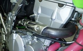 KAWASAKI KLX250 Gen.2 LX250S